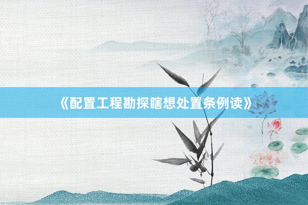 《配置工程勘探瞎想处置条例读》