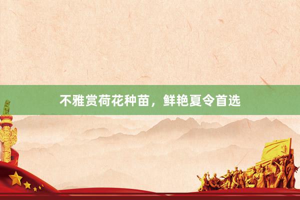 不雅赏荷花种苗，鲜艳夏令首选
