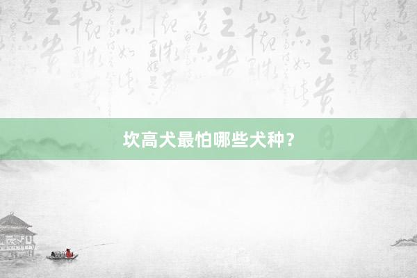 坎高犬最怕哪些犬种？
