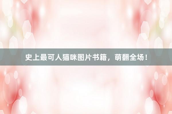 史上最可人猫咪图片书籍，萌翻全场！